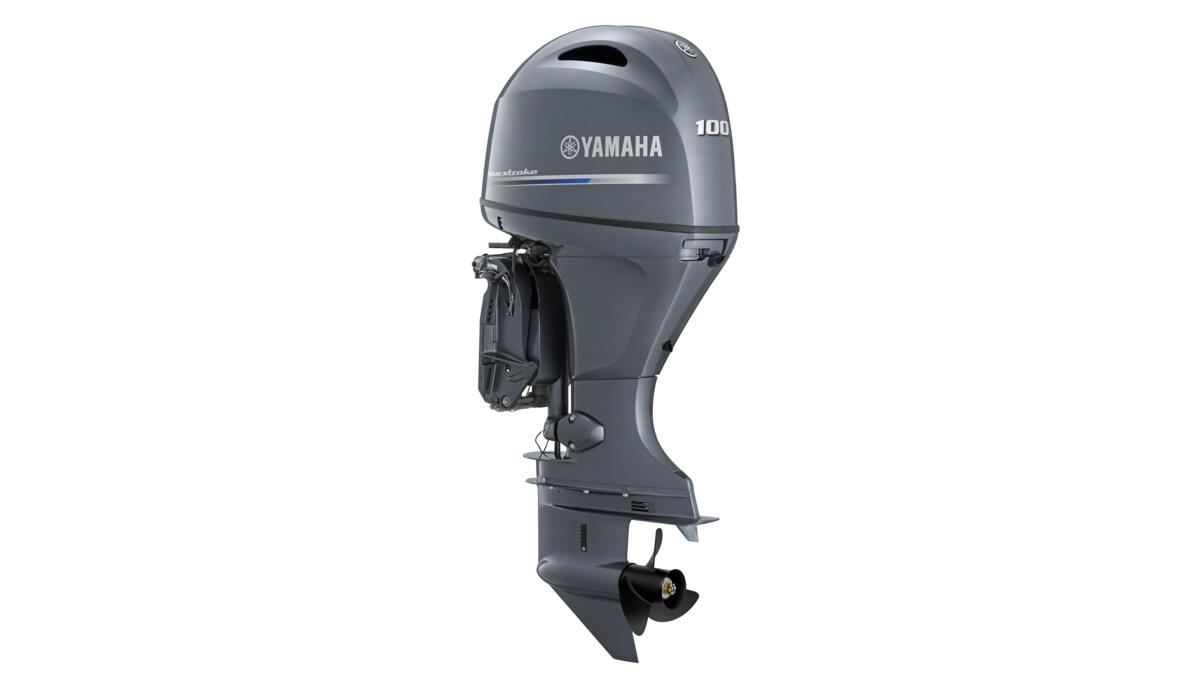 YAMAHA F100 LB